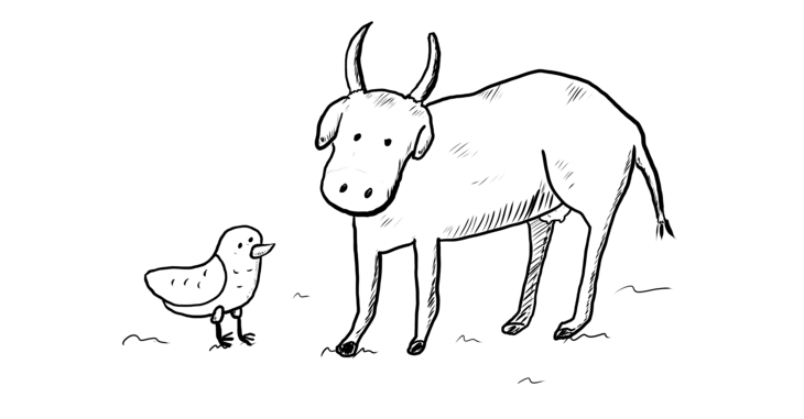 A pigeon looking up at a cow